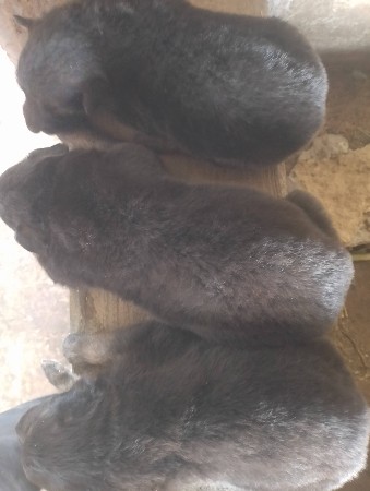 थंबनेल 2