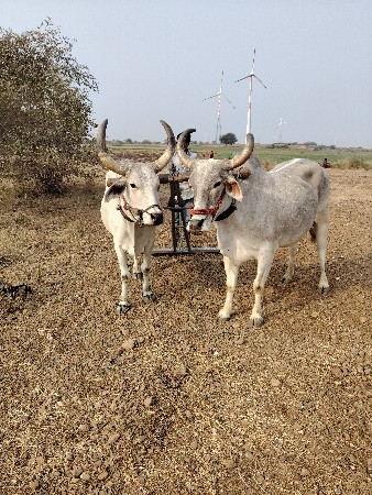 थंबनेल 2