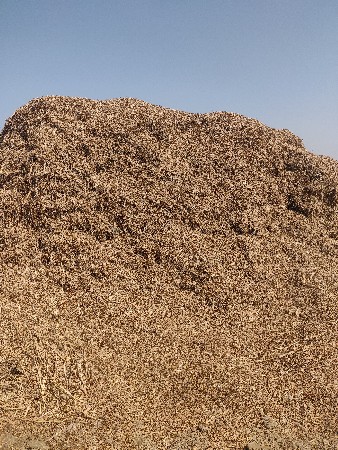 માંડવી નો ભૂકો વેચવાનો છે.