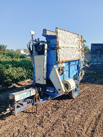 જયંત થેસર વેચવા નું છે