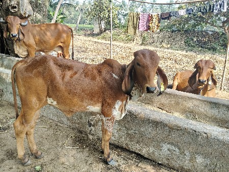 थंबनेल 2