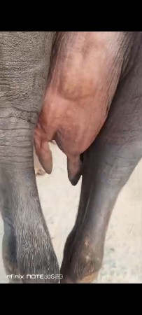 थंबनेल 3