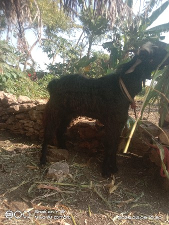 થંબનેલ 2