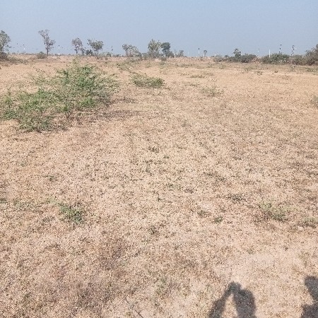 જમીન વેચવાની છે