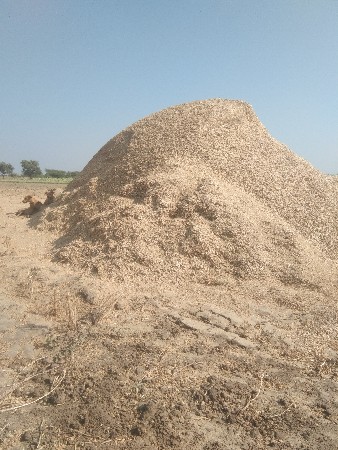 સણાનૂ  ખારીયુ વેસવાનુ છે