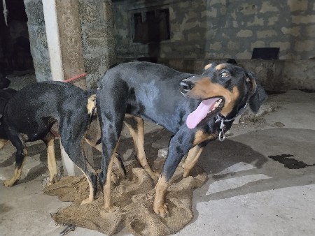 थंबनेल 2