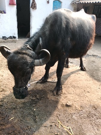 થંબનેલ 3