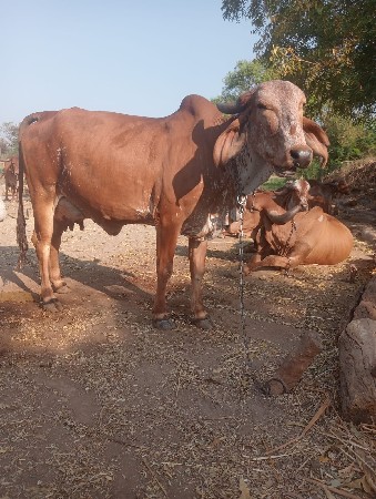 थंबनेल 2