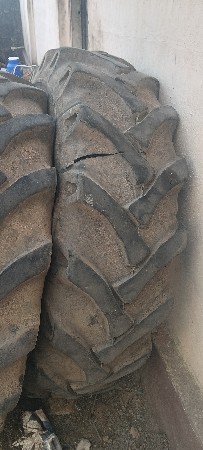 थंबनेल 3