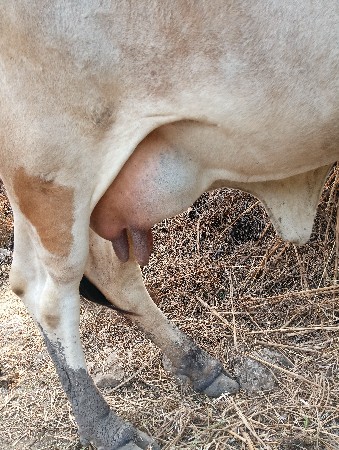 थंबनेल 2