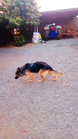 थंबनेल 2