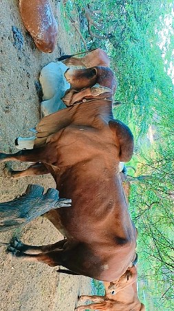 थंबनेल 3