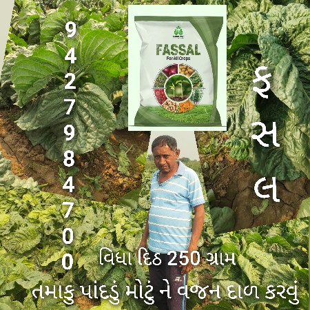 ઓર્ગેનિક ખાતર