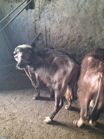 थंबनेल 2