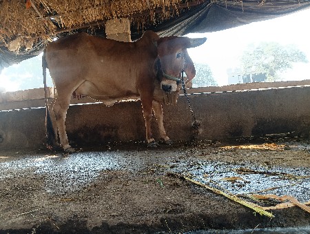 थंबनेल 3