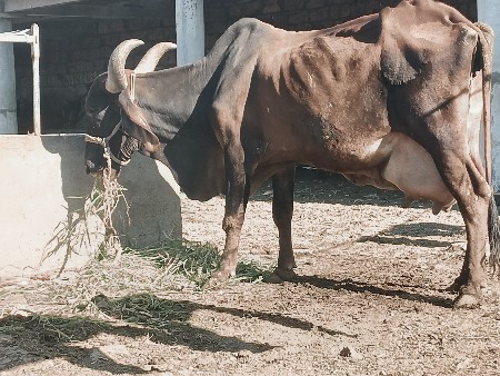 थंबनेल 3