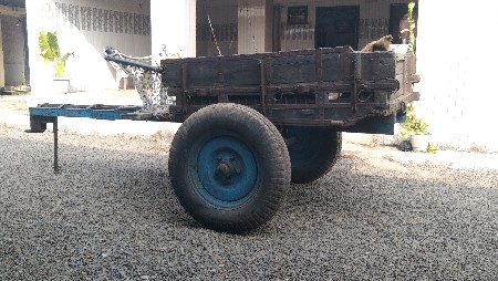 ગાઙૂ વૈસવાનુ છે