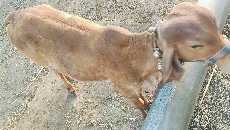 थंबनेल 2