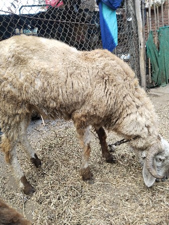 थंबनेल 3