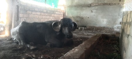 थंबनेल 3