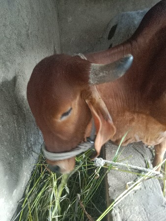 થંબનેલ 2