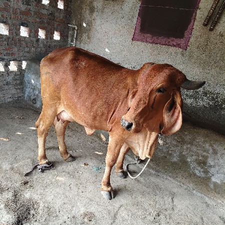 थंबनेल 2