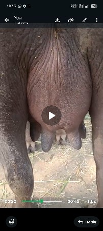 ઊંચાઈ લંબાઈ પૂરી છે અને સારી છે