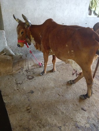 थंबनेल 2