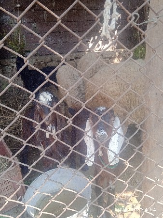 थंबनेल 2