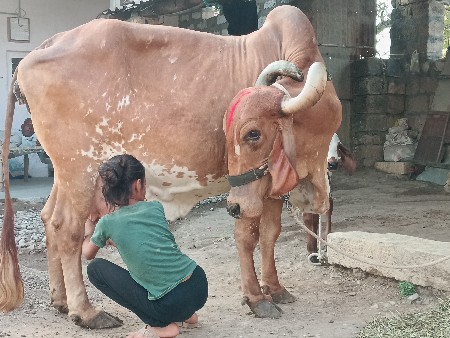 थंबनेल 3