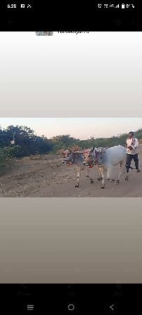 थंबनेल 2