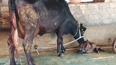 थंबनेल 2