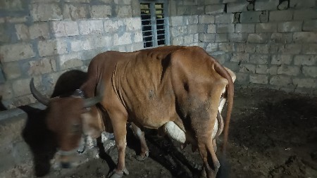 थंबनेल 2