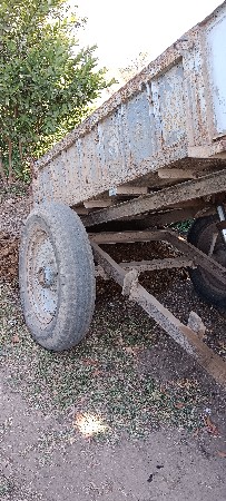 થંબનેલ 3