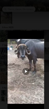 ખળેલી વેચવાની છે