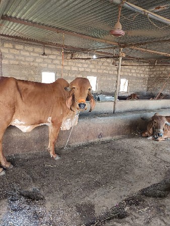 थंबनेल 3