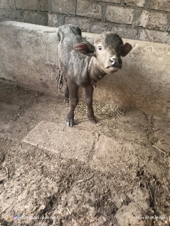 થંબનેલ 3