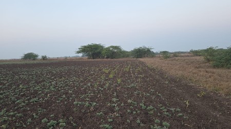 પોરબંદર રાણાવાવ કુતિયાણા