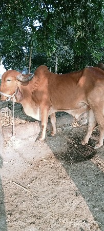 थंबनेल 3