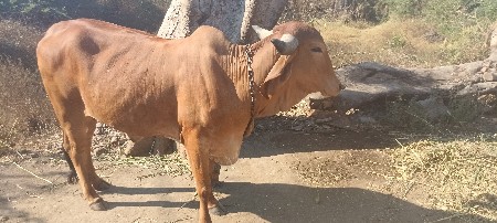 थंबनेल 2