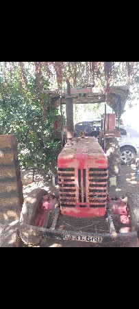 थंबनेल 3