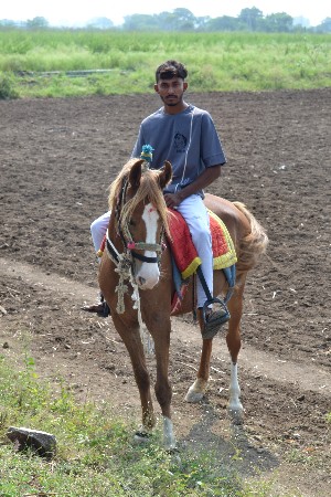 थंबनेल 2