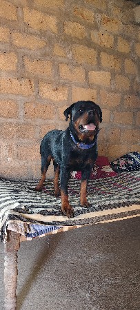 1 વર્ષે ની છે