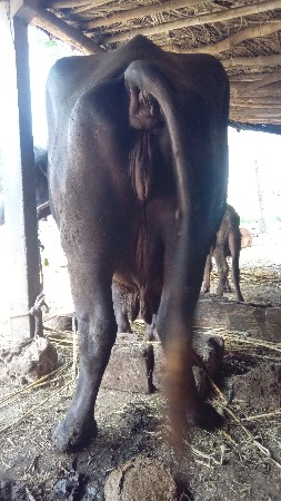 थंबनेल 2