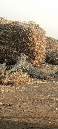 મરણ અઢીસો રૂપિયા ભાવ