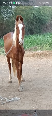 थंबनेल 3