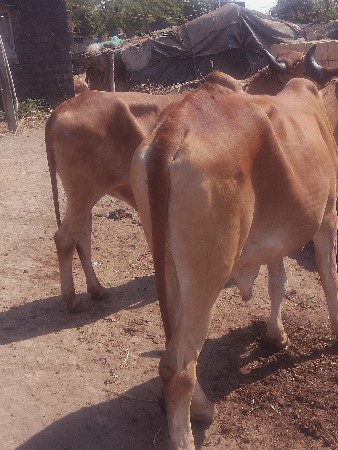 थंबनेल 2