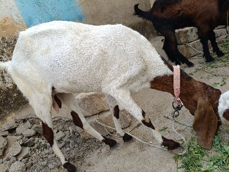 थंबनेल 3