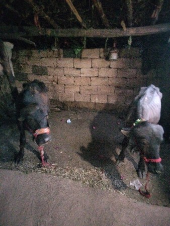 थंबनेल 3