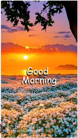 ગીરનાર 4